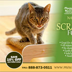 Kitten on a cardboard scratching pad